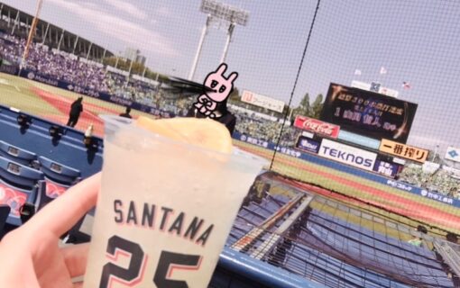 ブログ_オフは野球観戦
